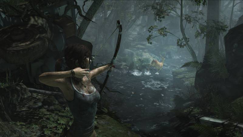 Game Tomb Raider: Survival Edition 2